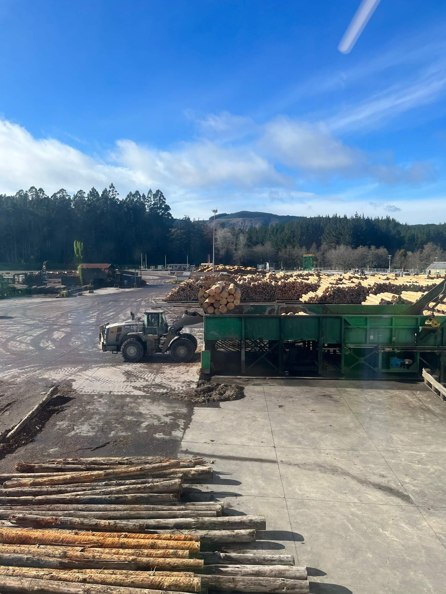 Thomsons ITM visits local supplier, Red Stag Timber